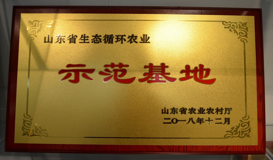 1611304784833931.jpg 1611304784833931.jpg