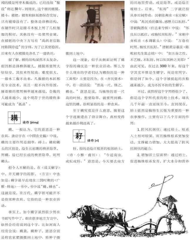 “生僻字”里的中华千年农耕文明