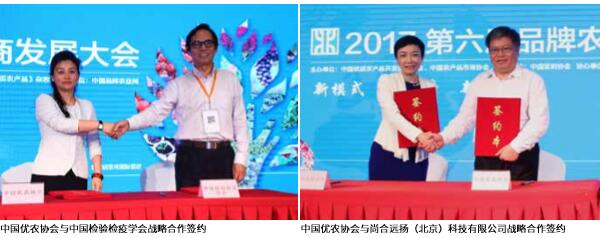 开创农业品牌化的新进程