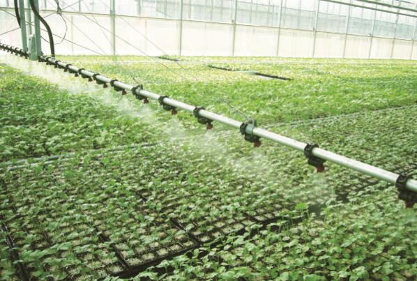 四大技术成就以色列农业“神话”