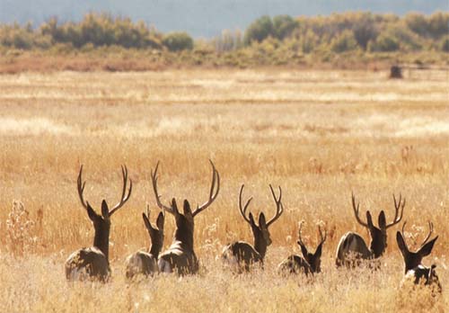 推动中非农业合作再上新台阶